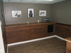 Wood-finish flooring paired with extensive built-in cabinetry and shelving - 