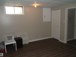 Versatile room featuring wood-finish flooring, a drop ceiling, and neutral wall tones - 