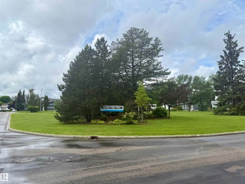 Community parkland featuring mature evergreen trees and a manicured grassy expanse - 8822 161 Street, Edmonton, AB 