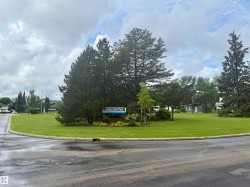 Community parkland featuring mature evergreen trees and a manicured grassy expanse - 
