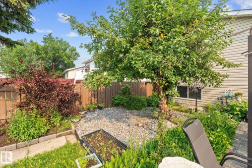 Backyard oasis with mature trees and diverse plantings - 18126 98 Avenue, Edmonton, AB 