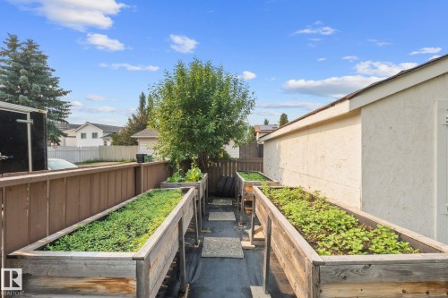 Backyard area featuring two raised planter boxes with established greenery - 18126 98 Avenue, Edmonton, AB 