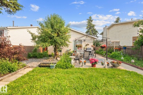 Expansive backyard featuring a concrete patio, mature trees, and established perimeter landscaping - 18126 98 Avenue, Edmonton, AB 