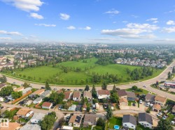 Expansive green space and mature trees within a residential setting - 