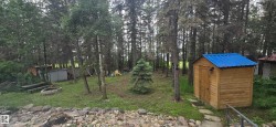 Wood-sided shed with a blue metal roof, stone stepping-stone path, and surrounding mature trees - 