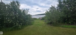 Waterfront property featuring a grassy path to the water's edge and mature perimeter foliage - 