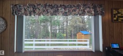 Window framing a fenced outdoor area with a storage shed and mature trees - 