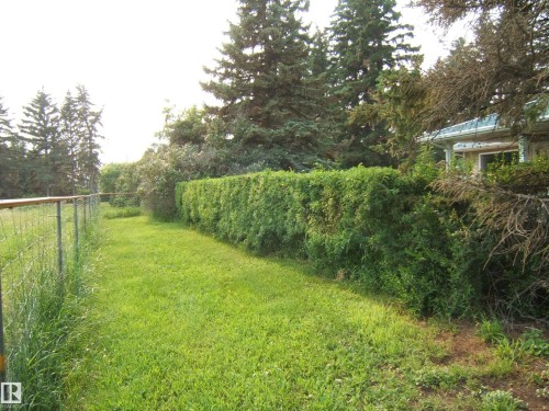 Expansive grassy area featuring a chain-link fence, mature trees, and a dense, manicured hedge - 163062 Twp Rd 565, Rural Lamont County, AB 