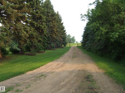 Gravel driveway bordered by mature evergreen trees and green lawn - 163062 Twp Rd 565, Rural Lamont County, AB 
