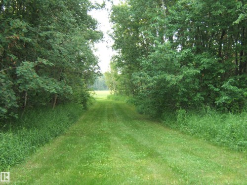 Expansive green space featuring a mowed grass path - 163062 Twp Rd 565, Rural Lamont County, AB 