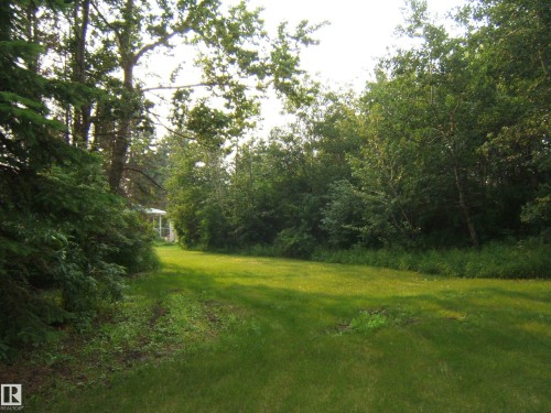 Expansive grassy area bordered by mature trees and natural foliage - 163062 Twp Rd 565, Rural Lamont County, AB 