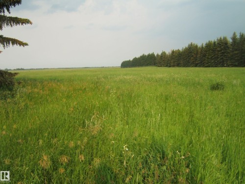 Expansive green field extending to the horizon, bordered by a line of mature evergreen trees - 163062 Twp Rd 565, Rural Lamont County, AB 