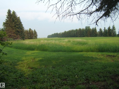 Expansive grassy field bordered by a dense line of mature evergreen trees - 163062 Twp Rd 565, Rural Lamont County, AB 