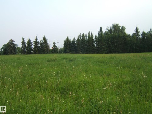 Expansive green field with natural vegetation - 163062 Twp Rd 565, Rural Lamont County, AB 