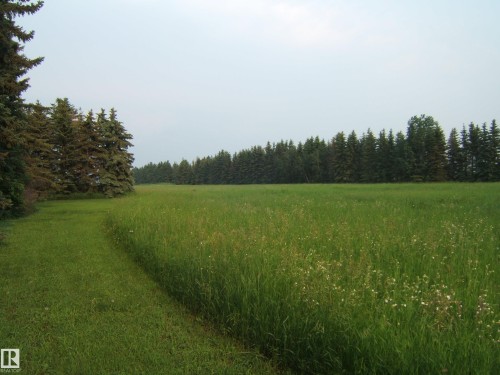 Expansive open field with natural vegetation and distant evergreen tree line - 163062 Twp Rd 565, Rural Lamont County, AB 