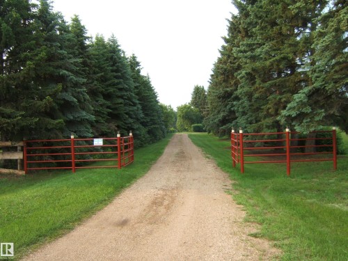 Gravel driveway flanked by mature evergreen trees - 163062 Twp Rd 565, Rural Lamont County, AB 