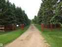 Gravel driveway flanked by mature evergreen trees - 163062 Twp Rd 565, Rural Lamont County, AB 