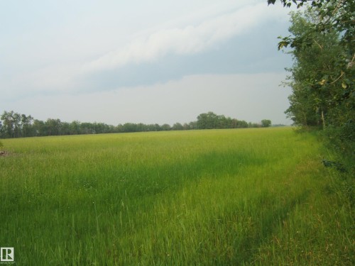 Expansive green field with natural tree lines - 163062 Twp Rd 565, Rural Lamont County, AB 