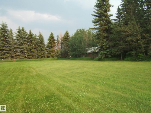 Expansive green lawn bordered by a dense line of mature evergreen trees - 163062 Twp Rd 565, Rural Lamont County, AB 