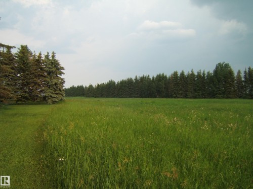 Expansive green field featuring varied grass textures and scattered white wildflowers - 163062 Twp Rd 565, Rural Lamont County, AB 