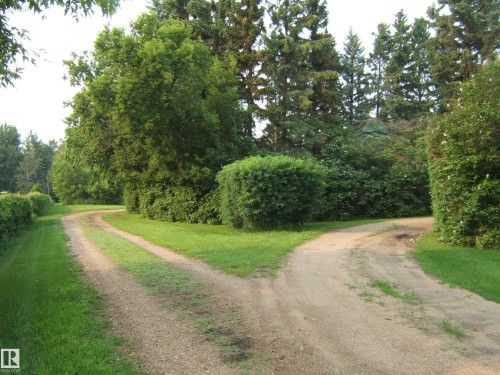 Gravel drive with a Y-split, surrounded by mature trees, manicured hedges, and lush green grass - 163062 Twp Rd 565, Rural Lamont County, AB 
