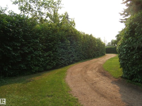 Curved gravel driveway bordered by extensive, manicured hedges and a strip of green lawn - 163062 Twp Rd 565, Rural Lamont County, AB 