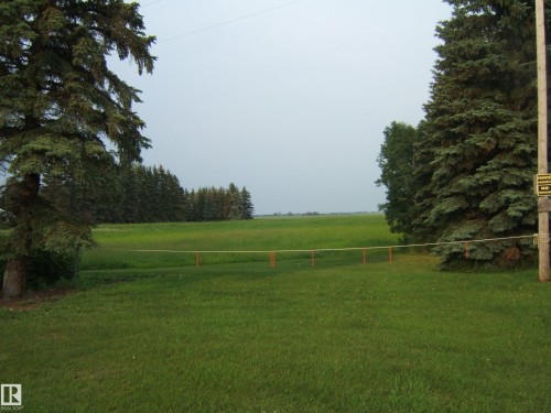Expansive green lawn framed by mature evergreen trees - 163062 Twp Rd 565, Rural Lamont County, AB 