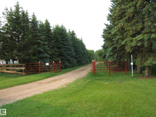 Gravel driveway framed by mature evergreen trees - 163062 Twp Rd 565, Rural Lamont County, AB 