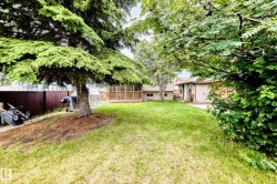 Expansive grassy yard featuring mature trees and a fenced perimeter - 
