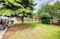 Expansive backyard featuring a mature evergreen tree, established green lawn, and a small greenhouse structure - 