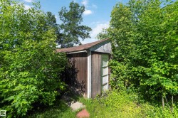 Wood-sided shed featuring a white door, surrounded by lush green foliage - 