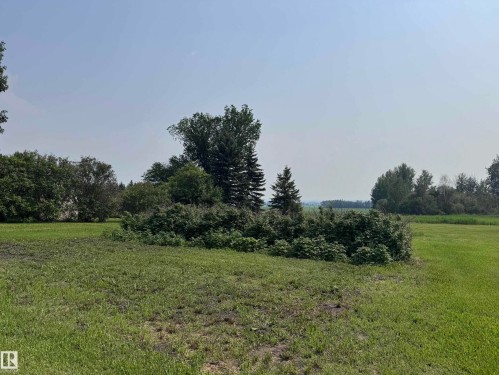 Expansive grassy land featuring diverse mature trees and shrubs, offering a natural landscape - 59228 Rg Rd 11, Rural Westlock County, AB 