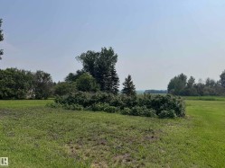 Expansive grassy land featuring diverse mature trees and shrubs, offering a natural landscape - 