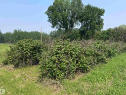 Expansive undeveloped land featuring natural foliage and mature trees - 