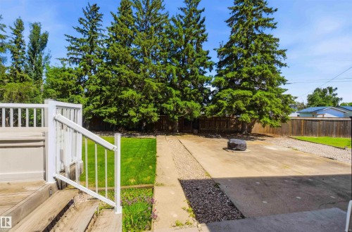 Rear exterior featuring a spacious concrete patio, a section of manicured lawn, and mature trees providing privacy - 13121 122 Street, Edmonton, AB 