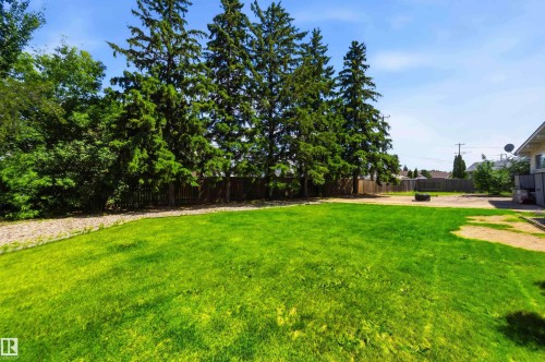 Expansive backyard featuring a large grass lawn, mature evergreen trees, and a wood privacy fence - 13121 122 Street, Edmonton, AB 