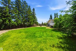 Expansive green lawn with mature evergreen trees along the perimeter, featuring a gravel pathway and a wood privacy fence - 