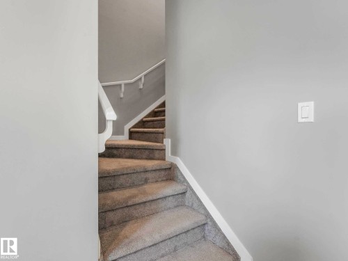 Carpeted staircase featuring white handrails and risers - 516 35 Street, Edmonton, AB 