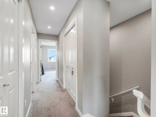 Central hallway featuring light gray walls and plush gray carpeting - 516 35 Street, Edmonton, AB 
