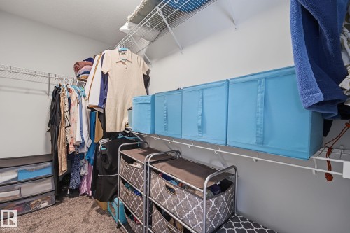 Walk-in closet featuring wire shelving, hanging rods, and carpet flooring - 432 Roberts Crescent, Leduc, AB 