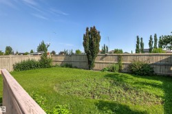 Expansive backyard with a full-height wood fence, a large central tree, and surrounding shrubs - 