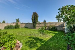 Private backyard featuring a wooden privacy fence, established trees, and a landscaped garden bed with rock border - 