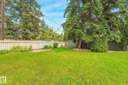 Expansive green lawn featuring a large mature tree, white privacy fencing, and surrounding established greenery - 