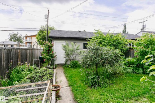 Rear yard featuring a detached structure with siding, a concrete pathway, a wood fence, and mature foliage - 11619 125 Street, Edmonton, AB 