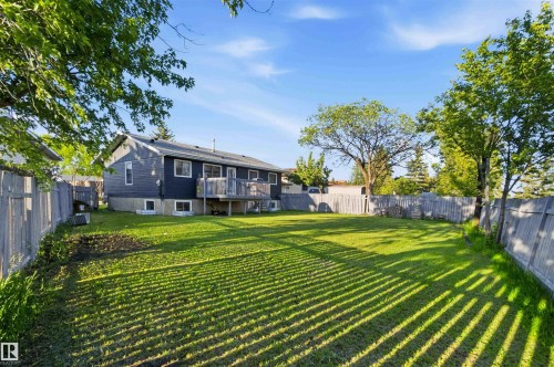 Expansive fenced backyard featuring a substantial grassy area - 8819 29 Avenue, Edmonton, AB 