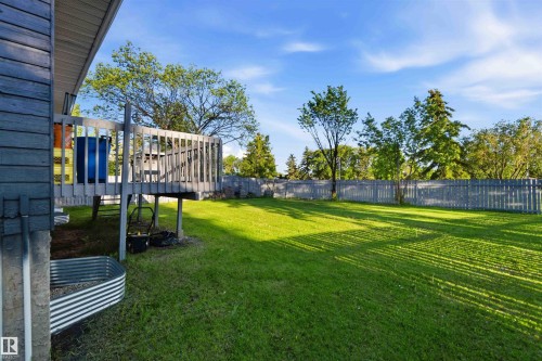 Expansive green lawn framed by a privacy fence and mature trees - 8819 29 Avenue, Edmonton, AB 