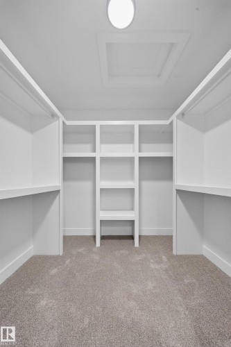 Spacious walk-in closet featuring built-in shelving, hanging rods, light gray carpeting, and a flush mount ceiling light - 803 30 Avenue, Edmonton, AB 