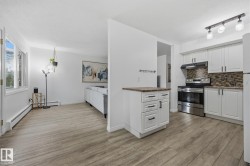 Open-concept living area featuring wood-finish flooring, white cabinetry, stainless steel appliances, a mosaic tile backsplash, and a functional half-wall island - 