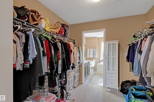 Carpeted walk-in closet featuring wire shelving systems on opposing walls, a built-in white storage cabinet with glass-front doors and two drawers, and direct access to a full bathroom - 1216 37C Avenue Nw, Edmonton, AB - Indoor With Storage