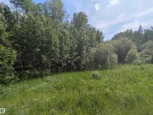 Expansive natural landscape featuring lush green foliage and mature deciduous trees - #38 56110 Rge Road 13, Rural Lac Ste. Anne County, AB 